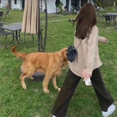 天真派：红楼梦之桃花诗社
